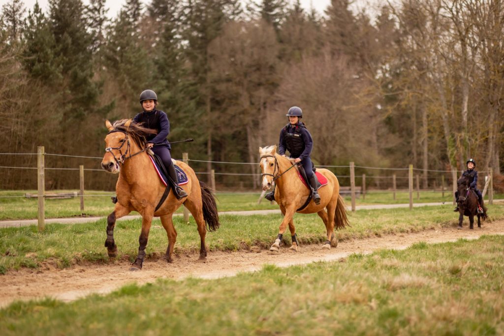 Stages Poney et Double Poney